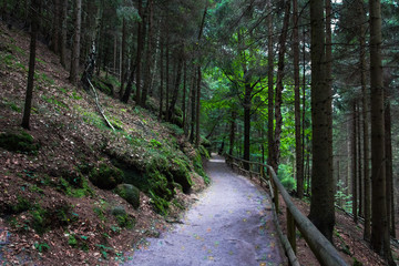 Bohemian (Czech, Saxon) Switzerland, National Park. Forest. Pathway