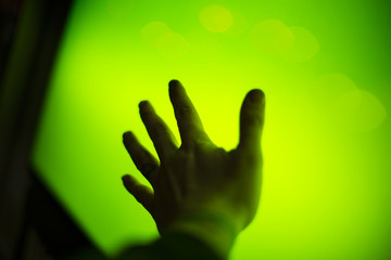 Hand On Green Light  - 177843206