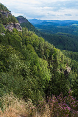 Fototapeta na wymiar Bohemian (Czech, Saxon) Switzerland National Park. Forest near Pravcicka Brana