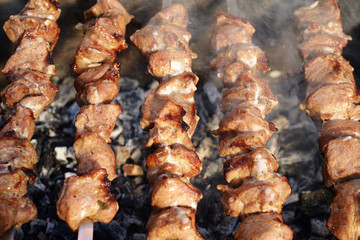 Shashlik grilled on skewers close-up
