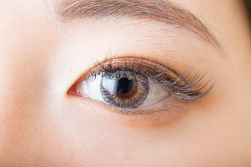 Fototapeta premium color contact lens