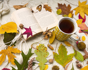 Naklejka na ściany i meble tazza di tè e libro e foglie colorate
