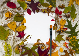set autunno creativo