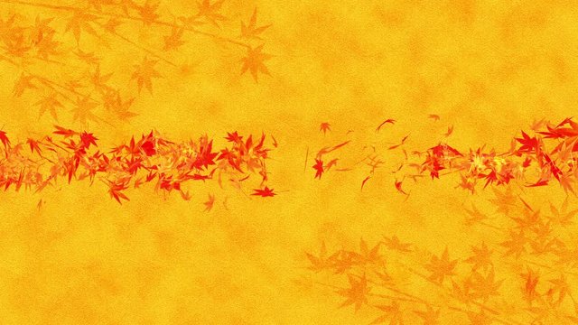 紅葉 モミジ 舞う 落葉 金色 ループ