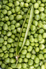 Open pod of peas