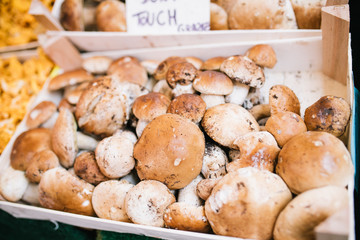 Fresh porcini mushrooms in the boxes at the local fermers market ready to sale