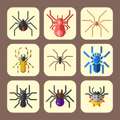 Spider web silhouette arachnid fear graphic flat scary animal design nature insect danger horror halloween vector icon.