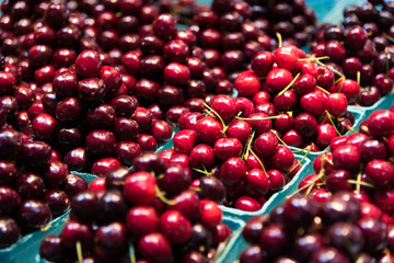 Skeena Cherry & Bing Cherries
