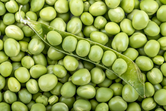 Open pod of peas