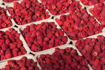 Raspberries at Farmer's Market