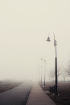 Fog taking over a lakefront