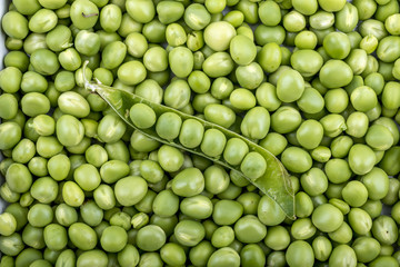 Open pod of peas
