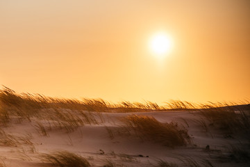Beautiful beach sunset
