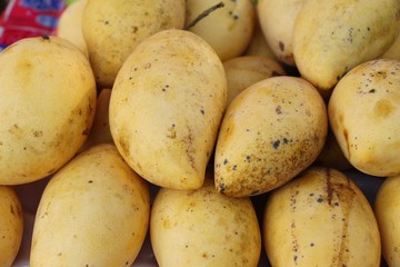 Ripe mango fruit in the market