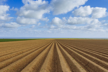 Plowed agricultural fields prepared for planting crops in Normandy, France. Countryside landscape...