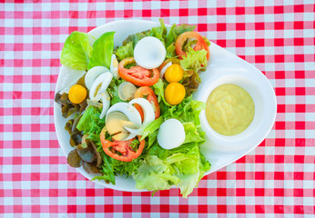 High angle view of a nutritious vegetable salad with boiled egg slices, served on a white plate with salad dressing on top of a table