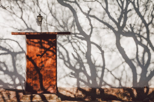 Front door of a house with tree shadows on the wall
