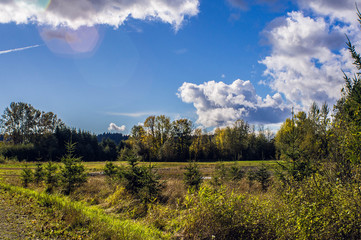 Fototapeta premium SONY DSC