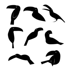birds profiles icons