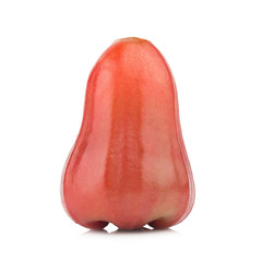 rose apple from thailand isolated on white background