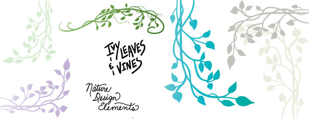 vines and ivy vector designs with branches and leaves, climbing vine in a decorative floral nature illustration - obrazy, fototapety, plakaty