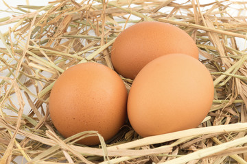 Brown eggs in a nest isolated on a white background