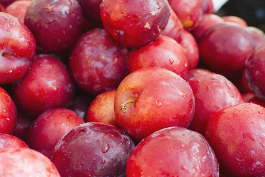 Fresh plums