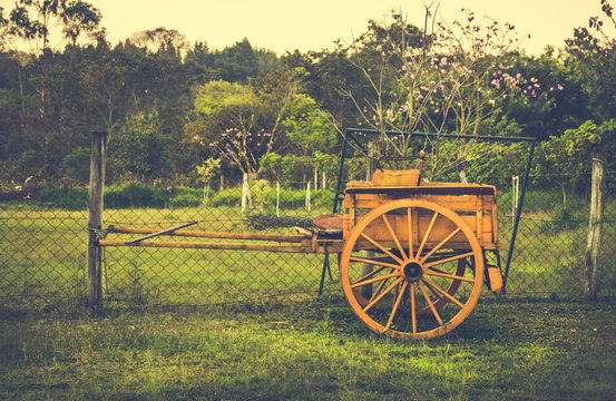 Charrete decora&ccedil;&atilde;o flores