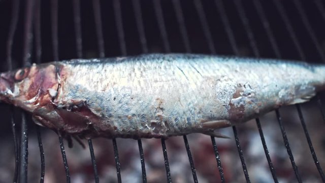 4k Grill Cooking Barbecue Fish