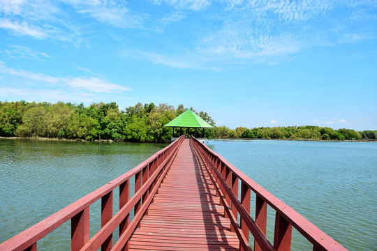 Wood bridge to the sea