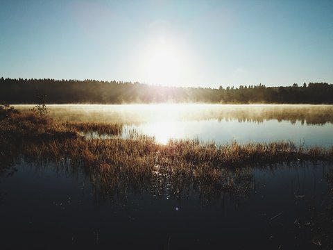 Sunrise at a misty lake in Oslo, Norway (mobile)