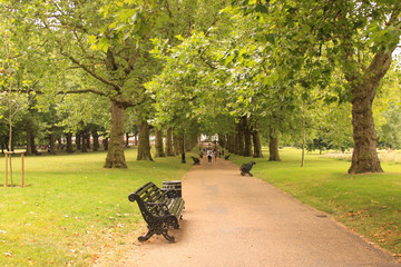 Park walkway