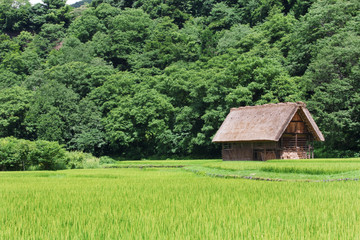 岐阜県の白川郷