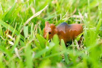 toy cow on grass. out door
