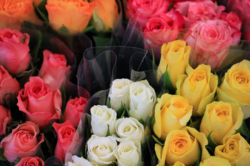 Heap of red roses in a retail market for sell