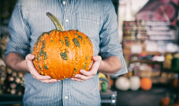 Market: Man Holds Pumpkin With Bumpy Texture