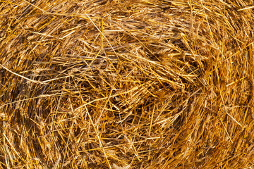 hay bale center