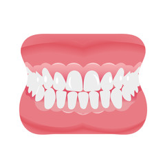 Jaw with teeth icon flat style. Open mouth, dentures. Dentistry, medicine concept. Isolated on white background. Vector illustration