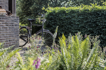 Obraz premium Belgian Bike