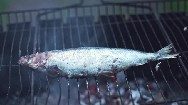 4k Grill Cooking Barbecue Fish
