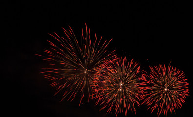 Night scene. A beautiful fireworks display in celebration.