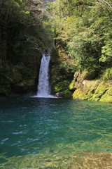 Fototapeta premium にこ淵