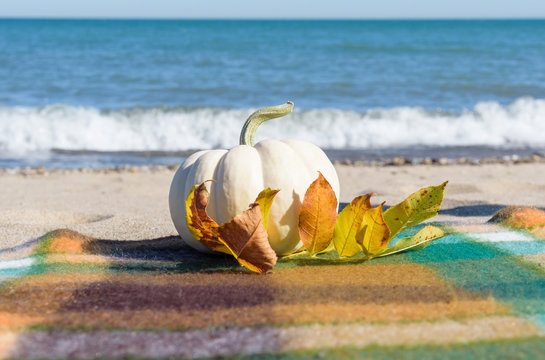 White pumpkin and fall leaves at the beach on a windy day with surf crashing in the background