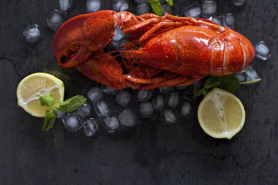 Lobster