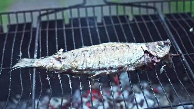 4k Grill Cooking Barbecue Fish on Fire