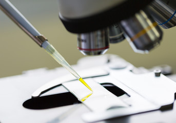 Scientist dropping chemical liquid on the slide at microscope