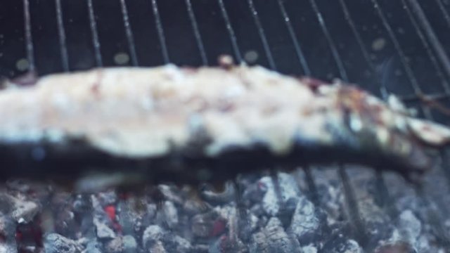 4k Grill Cooking Barbecue Fish