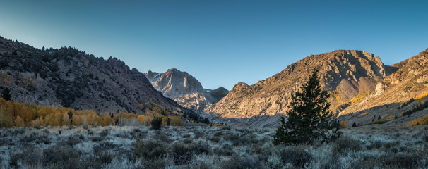 A panoramic of early morning landscape of sunlight stricking the mountain while the golden and yellow color of the aspens in fall brighten. Mountain peaks with snow and blue sky are in the background.