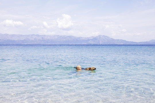 A boy and his dog swimming in the sea on a sunny day