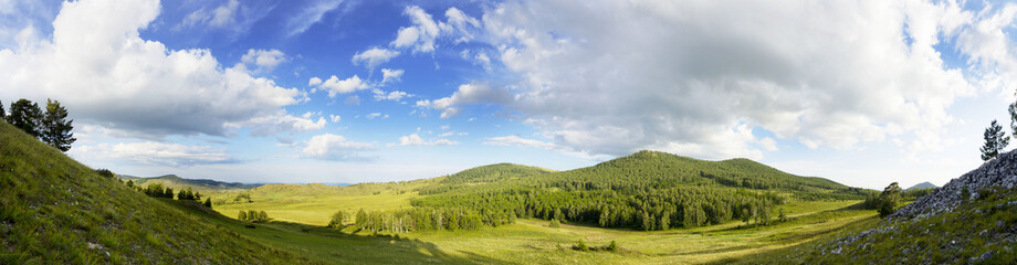 Fototapeta na wymiar Panoramic mountain summer landscape. Trees near meadow and forest on hillside in sunset light. Diving into the atmosphere.